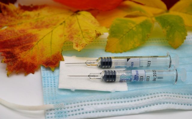 vaccination-7532559_1280